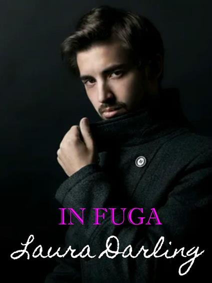 In fuga - Laura Darling - ebook
