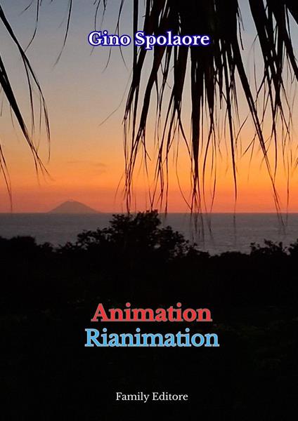 Animation rianimation - Gino Spolaore - ebook