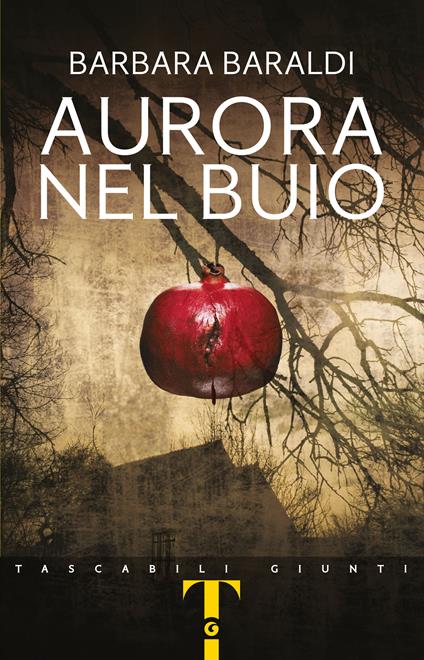  Aurora nel buio -  Barbara Baraldi - copertina