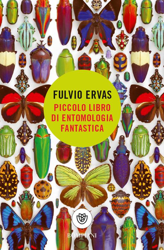  Piccolo libro di entomologia fantastica -  Fulvio Ervas - copertina