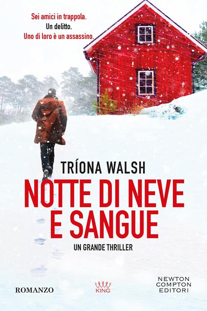  Notte di neve e sangue -  Triona Walsh - copertina