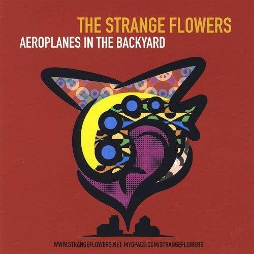Aeroplanes in The - Vinile LP di Strange Flowers