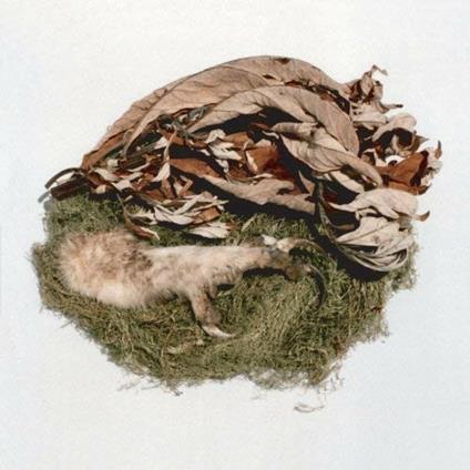 Offering - Vinile LP di Bird by Snow
