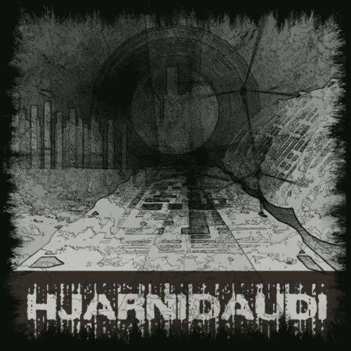 Psykostarevoid - CD Audio di Hjarnidaudi