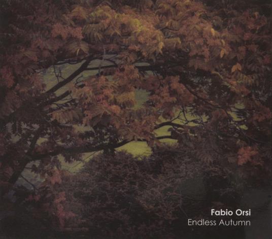 Endless Autumn - CD Audio di Fabio Orsi