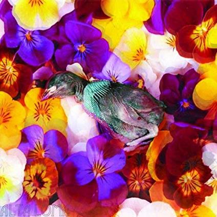 Alta Loma - Vinile LP di Bad Joke That Ended Well