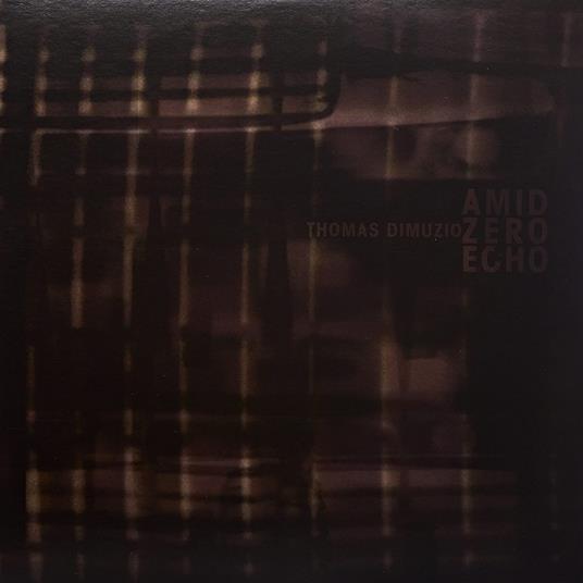 Amid Zero Echo - Vinile 10'' di Thomas Dimuzio