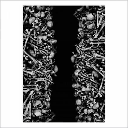 Fate - CD Audio di Poterna