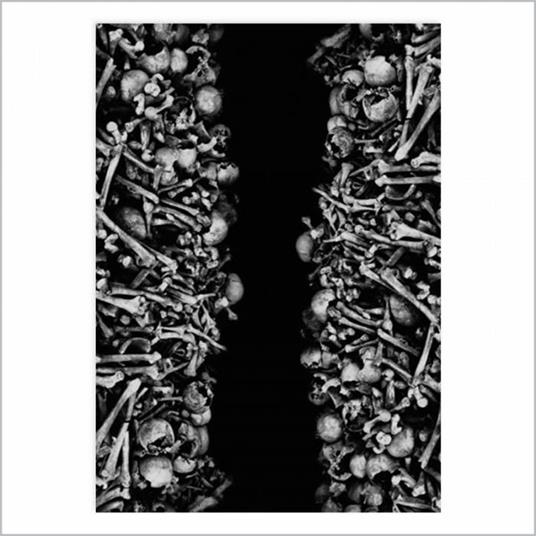Fate - CD Audio di Poterna