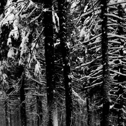 Abstrakter Wald - CD Audio di Moloch