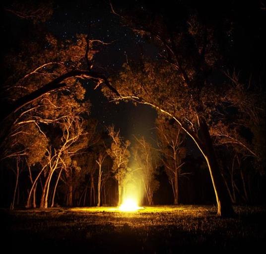 Deadwood To Worms - Vinile LP di Space Bong