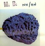 Nh-hn