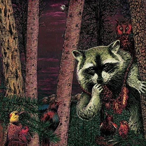 Half Pine Cone - Vinile LP di Wild Raccoon
