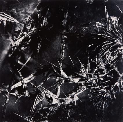 Thurm - Vinile LP di Thurm