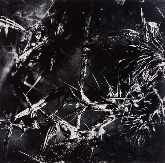 Thurm - Vinile LP di Thurm