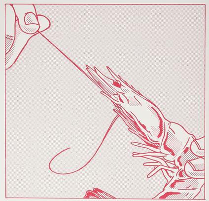 Collected Weirdness - Vinile LP di Brace! Brace!