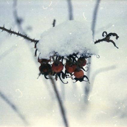 Keha - Vinile LP di Olli Aarni