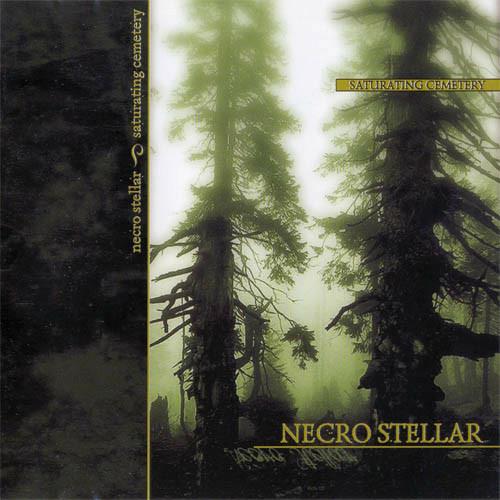 Saturating Cemetry - Vinile LP di Necro Stellar