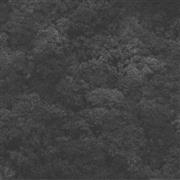 Bombinate - CD Audio di Haarvol