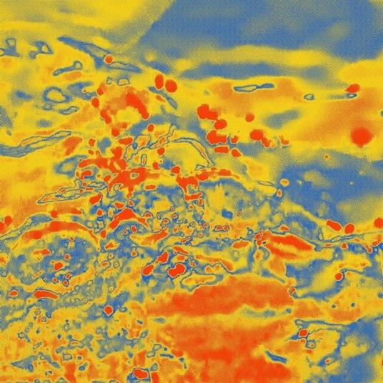 Dragonflies With Birds And Snake (Colonna Sonora) - Vinile LP