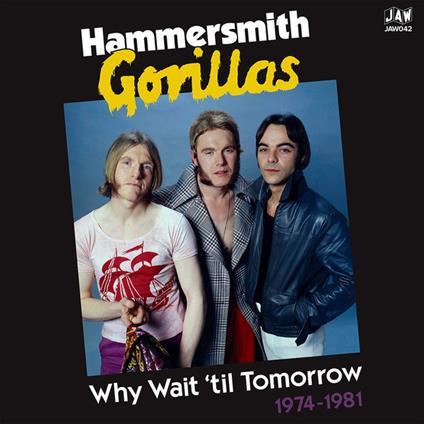 Why Wait Until Tomorrow 1974-1981 - Vinile LP di Hammersmith Gorillas