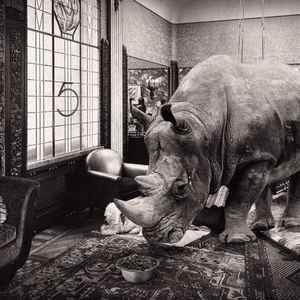 5 - Vinile LP di Gatechien