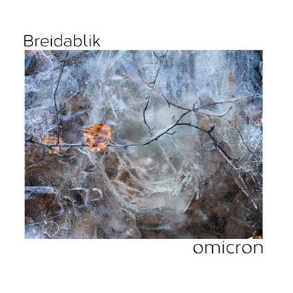 Omicron - Vinile LP di Breidablik