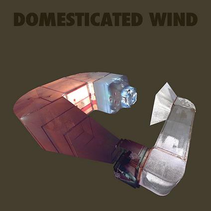 Domesticated Wind - CD Audio di Kaspar Konig