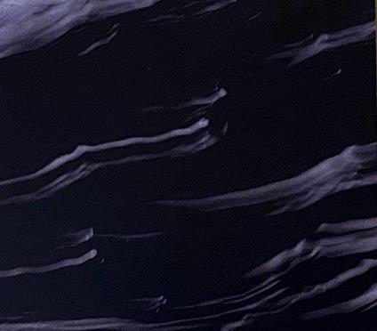 In The Floodplain Of Dreams - CD Audio di Duncan Park