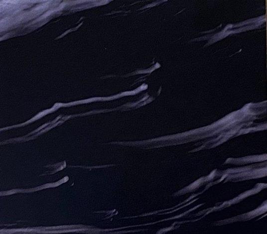 In The Floodplain Of Dreams - CD Audio di Duncan Park