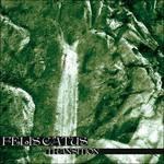 Transition - CD Audio di Felis Catus