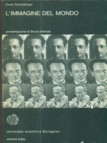L' Immagine del mondo - copertina