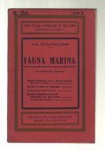 Fauna Marina
