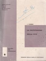 La coltivazione della vite