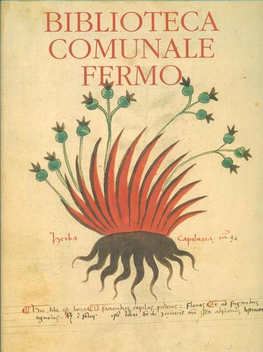 Biblioteca Comunale Fermo - copertina
