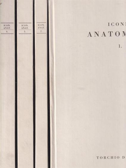 Icones Anatomicae. 4voll - copertina