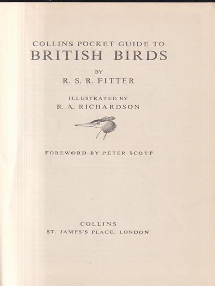 The pocket guide to British Birds - copertina