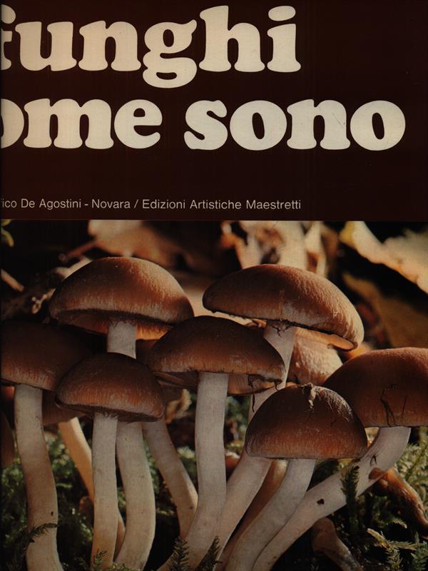 LIBRACCIO VINTAGE