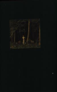 I libri della giungla