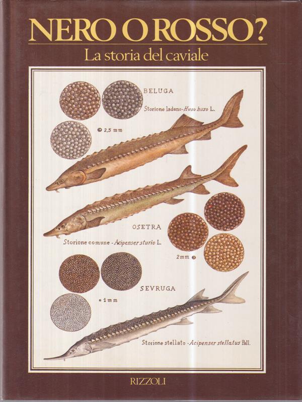 LIBRACCIO VINTAGE