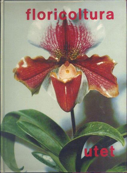 Floricoltura - Onorato Masera - copertina