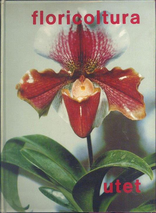 Floricoltura - Onorato Masera - copertina