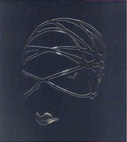 Genesi nello spazio. Visioni di realtà e improbabilità - Giovanni Gastel - copertina