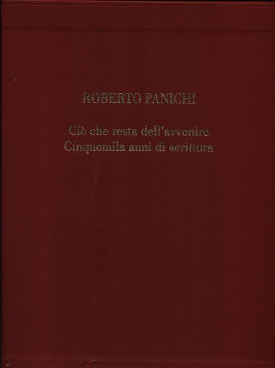Ciò che resta dell'avvenire - Roberto Panichi - copertina