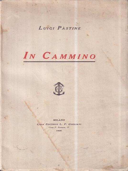 In cammino - Luigi Pastine - copertina