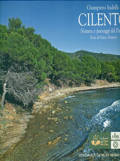 Il Cilento - Giampiero Indelli - copertina