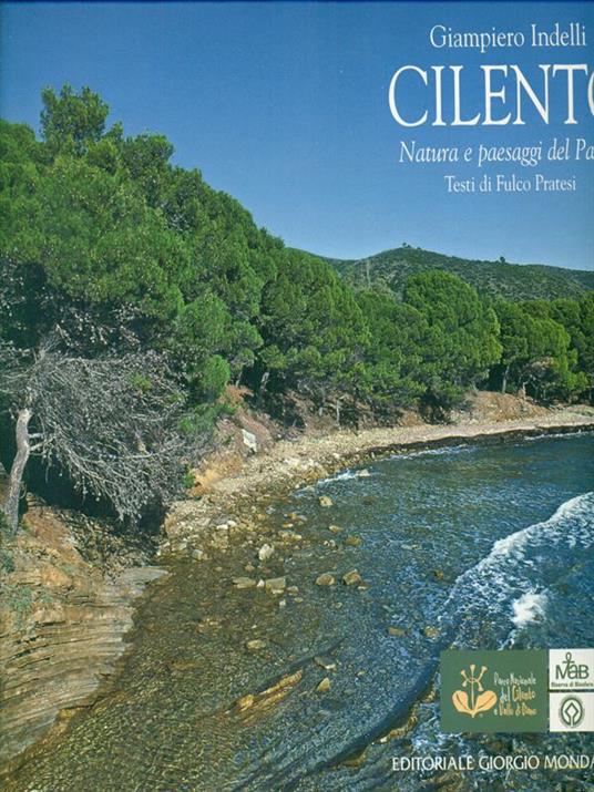 Il Cilento - Giampiero Indelli - copertina