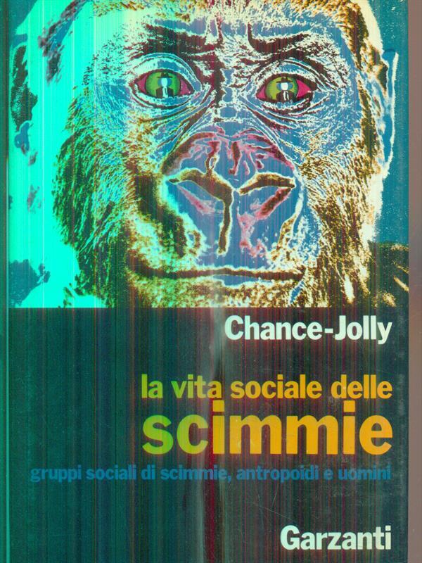 LIBRACCIO VINTAGE