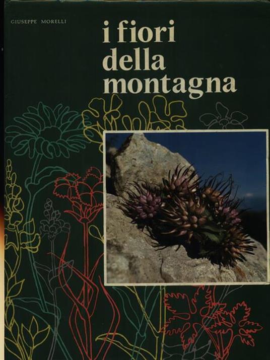 I fiori della montagna - Giuseppe Morelli - copertina