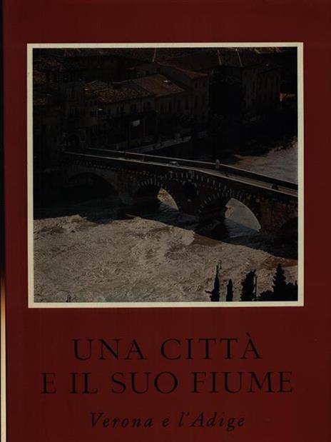 Una città e il suo fiume 2vv - Giorgio Borelli - copertina